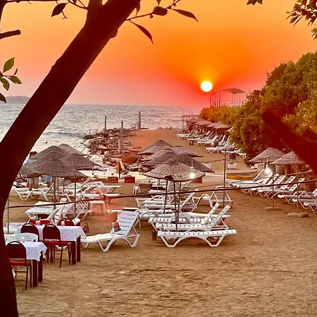 Paradise Bodrum, 14 Personnes, Vue Mer, Piscine, Privee, Sauna, A Vapeur, Ascenseur * Миляс